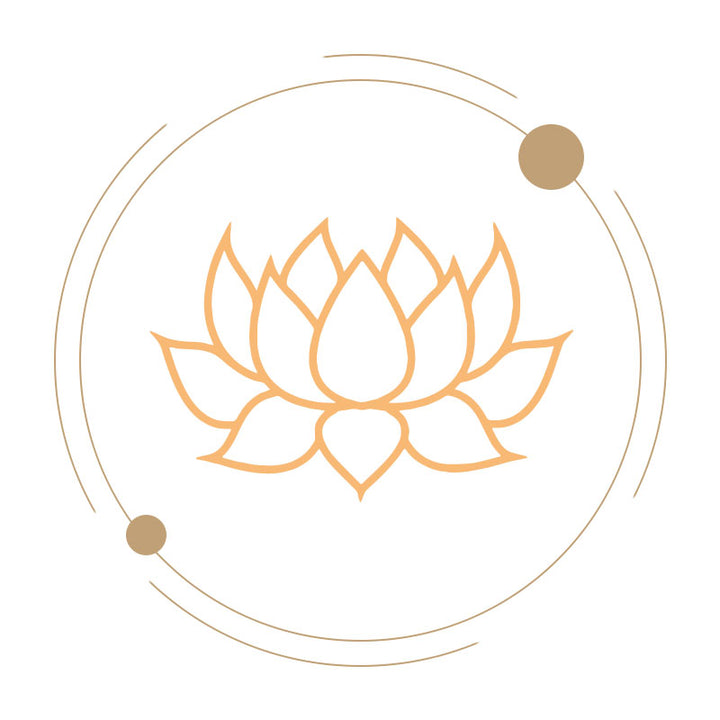 Shop LOTUS jewelry and accessories