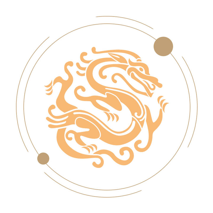 Shop DRAGON jewelry and accessories